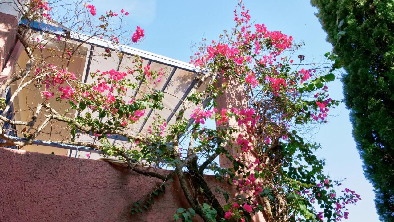 Best View Apartment 1. Barbati Exterior foto